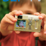 SEI-yv-pix