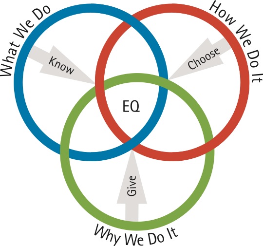What, How, Why: Transforming with EQ