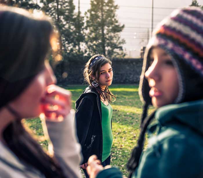 Middle School Climate & Learning – AERA research