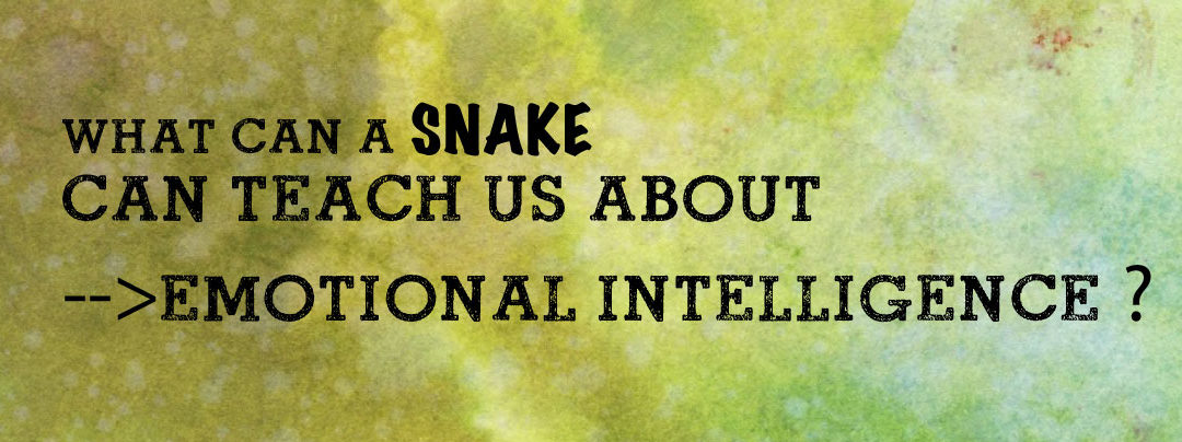 Teaching Emotional Intelligence Like a Snake Charmer