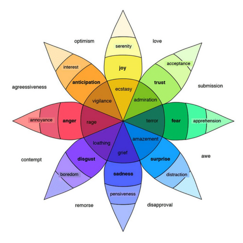 Emotion Chart Wheel