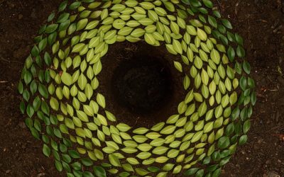 Case Study: Connected Leadership for Performance