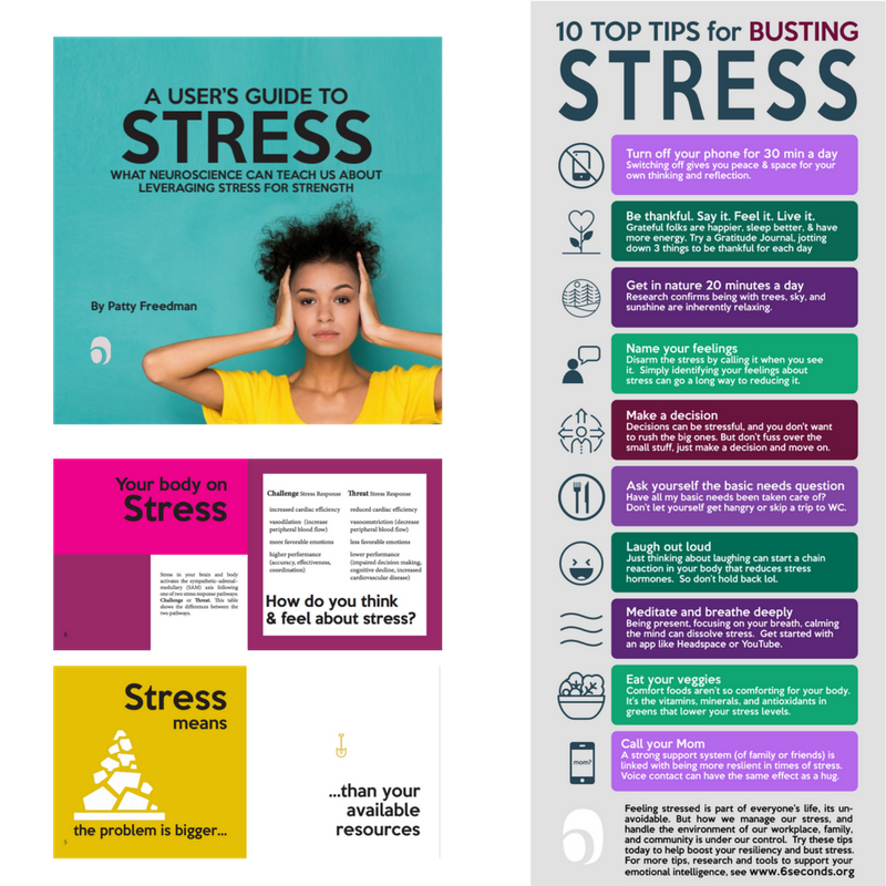 Stress Buster Program • Six Seconds