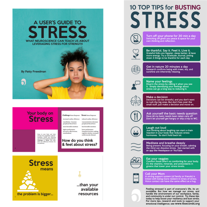 Stress Buster Program • Six Seconds